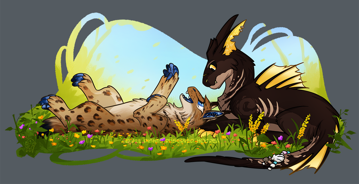 Let&#39;s talk about us