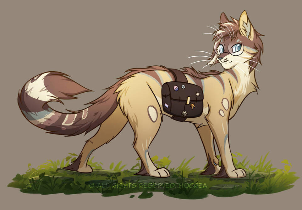 Adventurer Adventurer