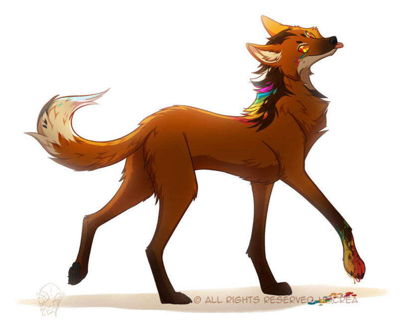 Maned wolf Maned wolf