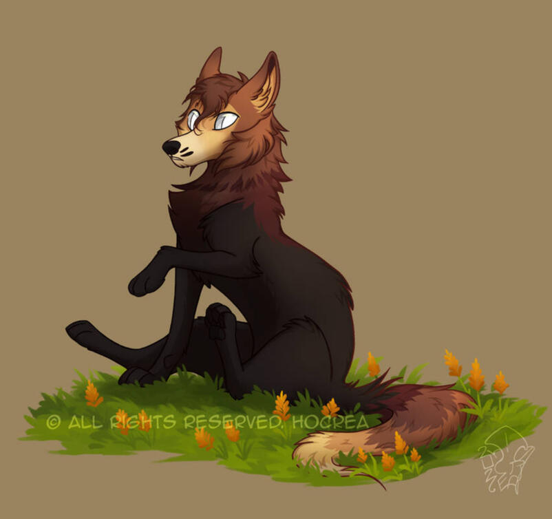 Flowers Flowers